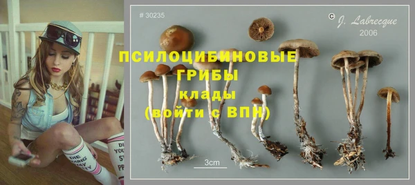 метадон Беломорск