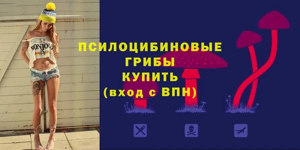 apvp Богородицк
