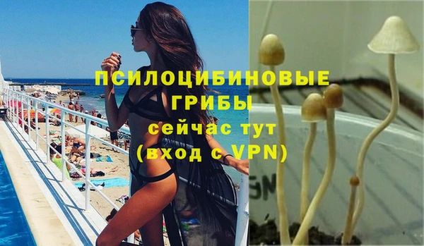 метадон Беломорск