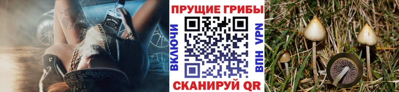 Галлюциногенные грибы MAGIC MUSHROOMS  Афипский 