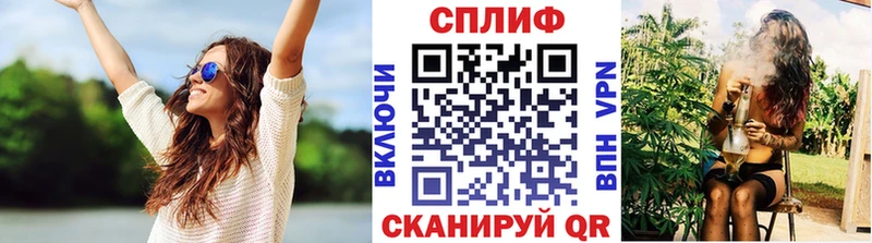 купить   Афипский  Конопля сатива 